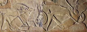 bas-relief from Ptahhotep's mastaba, 

Saqqara, Egypt